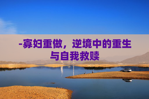 -寡妇重做，逆境中的重生与自我救赎