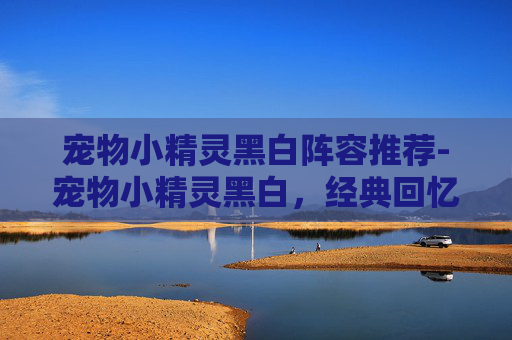 宠物小精灵黑白阵容推荐-宠物小精灵黑白，经典回忆的现代重燃