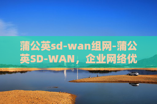 蒲公英sd-wan组网-蒲公英SD-WAN，企业网络优化的革新力量