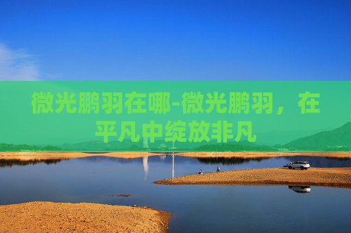 微光鹏羽在哪-微光鹏羽，在平凡中绽放非凡