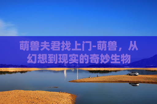 萌兽夫君找上门-萌兽，从幻想到现实的奇妙生物