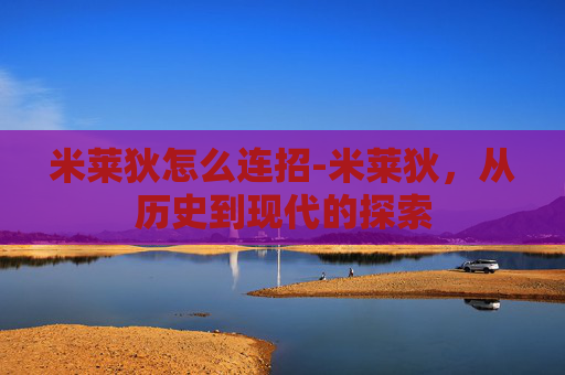 米莱狄怎么连招-米莱狄，从历史到现代的探索