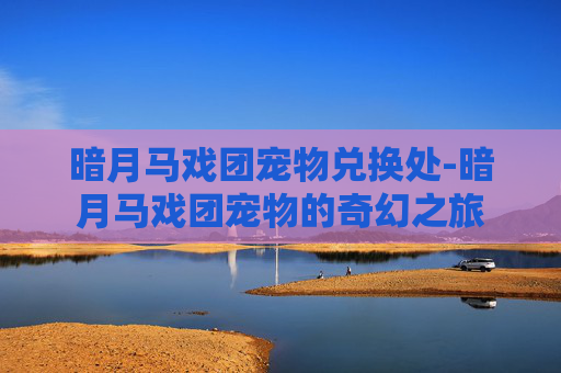 暗月马戏团宠物兑换处-暗月马戏团宠物的奇幻之旅