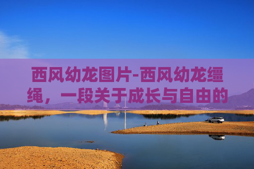 西风幼龙图片-西风幼龙缰绳，一段关于成长与自由的故事