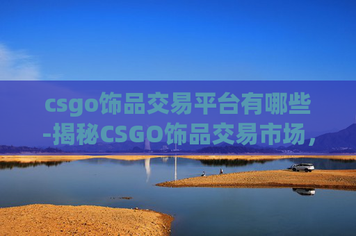 csgo饰品交易平台有哪些-揭秘CSGO饰品交易市场，机遇与风险并存