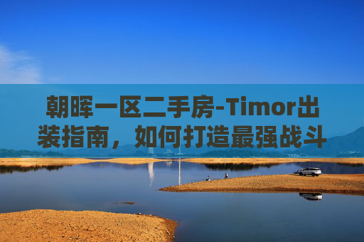 朝晖一区二手房-Timor出装指南，如何打造最强战斗阵容