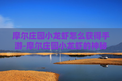 摩尔庄园小龙虾怎么获得手游-摩尔庄园小龙虾的神秘获得之旅