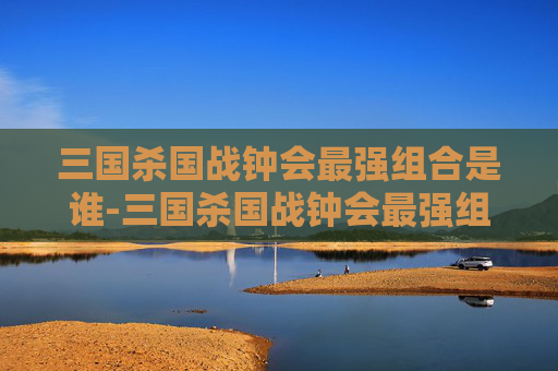 三国杀国战钟会最强组合是谁-三国杀国战钟会最强组合