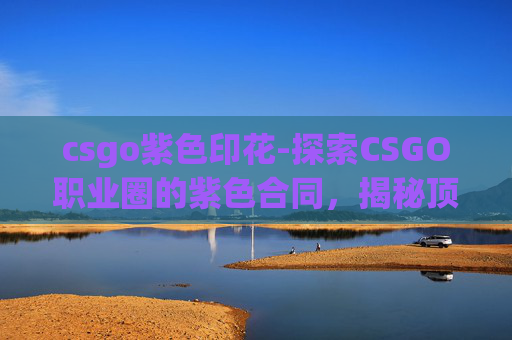csgo紫色印花-探索CSGO职业圈的紫色合同，揭秘顶级选手的合约奥秘
