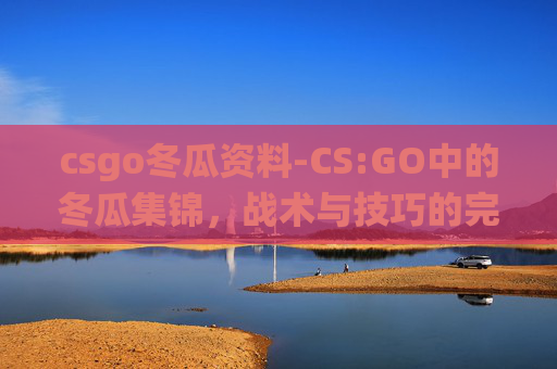csgo冬瓜资料-CS:GO中的冬瓜集锦,战术与技巧的完美演绎 csgo冬瓜资料-CS:GO中的冬瓜集锦,战术与技巧的完美演绎