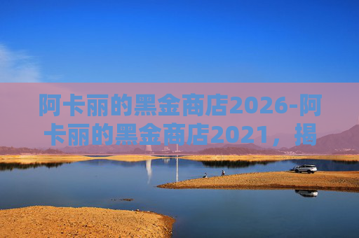 阿卡丽的黑金商店2026-阿卡丽的黑金商店2021,揭秘游戏中的隐藏财富 阿卡丽的黑金商店2026-阿卡丽的黑金商店2021,揭秘游戏中的隐藏财富