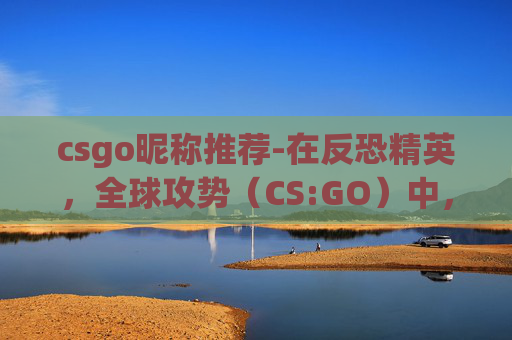 csgo昵称推荐-在反恐精英，全球攻势（CS:GO）中，如何成为村名？