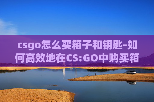 csgo怎么买箱子和钥匙-如何高效地在CS:GO中购买箱子？
