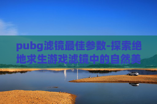 pubg滤镜最佳参数-探索绝地求生游戏滤镜中的自然美景