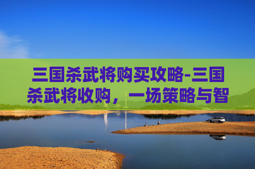 三国杀武将购买攻略-三国杀武将收购，一场策略与智慧的较量