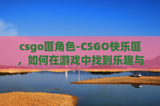 csgo匪角色-CSGO快乐匪，如何在游戏中找到乐趣与挑战