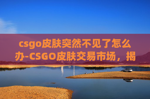csgo皮肤突然不见了怎么办-CSGO皮肤交易市场，揭秘游戏内经济与玩家行为