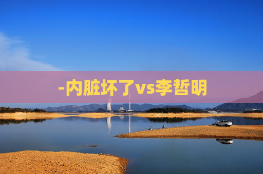 -内脏坏了vs李哲明