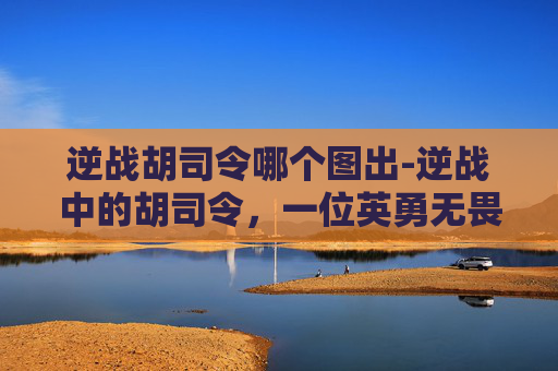 逆战胡司令哪个图出-逆战中的胡司令，一位英勇无畏的指挥官形象