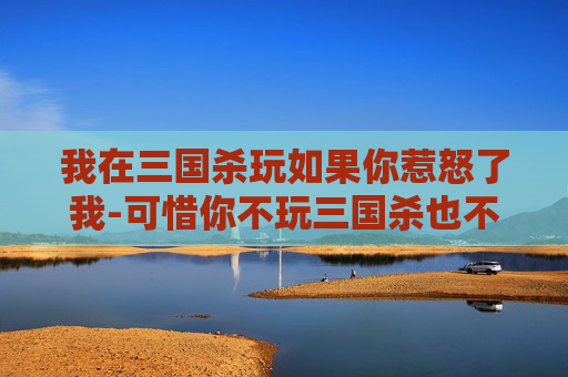 我在三国杀玩如果你惹怒了我-可惜你不玩三国杀也不懂我