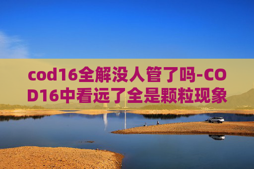 cod16全解没人管了吗-COD16中看远了全是颗粒现象的解析与应对策略