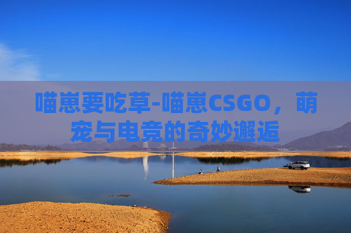 喵崽要吃草-喵崽CSGO,萌宠与电竞的奇妙邂逅 喵崽要吃草-喵崽CSGO,萌宠与电竞的奇妙邂逅