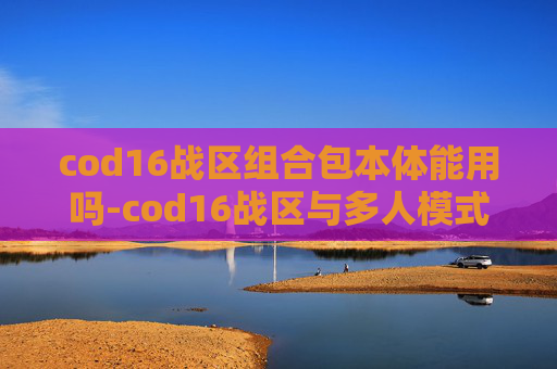cod16战区组合包本体能用吗-cod16战区与多人模式的深度解析，战术博弈与内容生态的双重探索