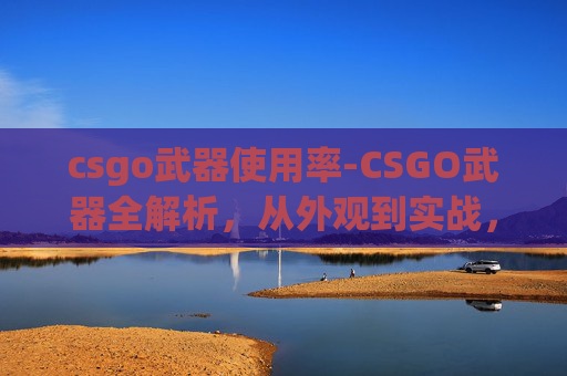 csgo武器使用率-CSGO武器全解析，从外观到实战，精准了解各类武器的特点与应用场景