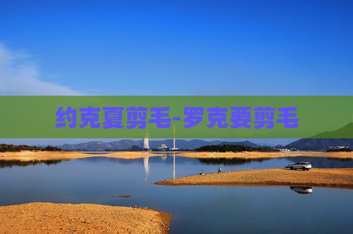约克夏剪毛-罗克要剪毛