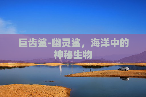 巨齿鲨-幽灵鲨，海洋中的神秘生物