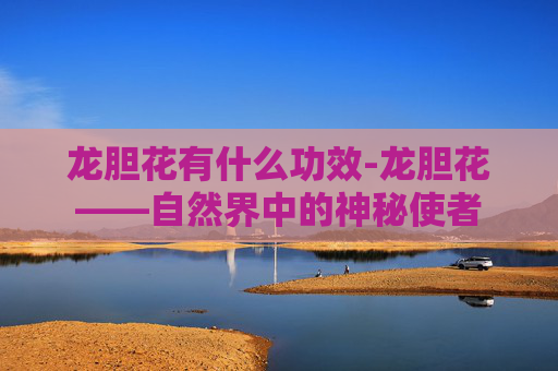 龙胆花有什么功效-龙胆花——自然界中的神秘使者