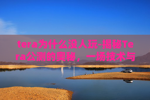 tera为什么没人玩-揭秘Tera公测的奥秘，一场技术与创新的盛宴