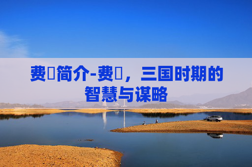 费祎简介-费祎,三国时期的智慧与谋略 费祎简介-费祎,三国时期的智慧与谋略