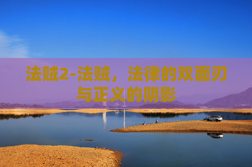 法贼2-法贼，法律的双面刃与正义的阴影