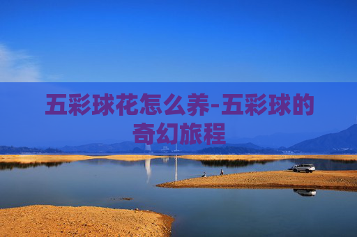 五彩球花怎么养-五彩球的奇幻旅程