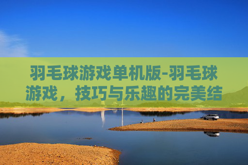 羽毛球游戏单机版-羽毛球游戏，技巧与乐趣的完美结合