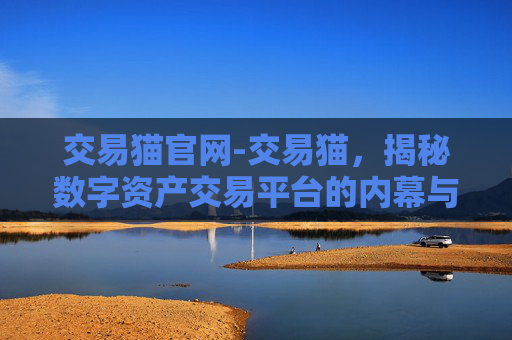 交易猫官网-交易猫，揭秘数字资产交易平台的内幕与风险