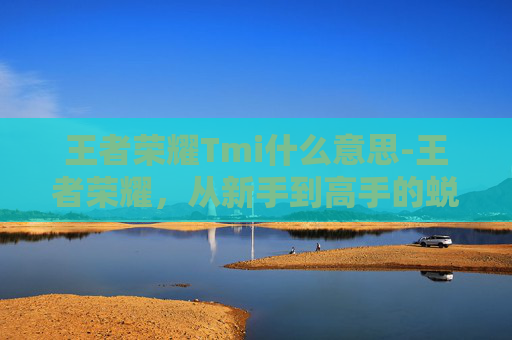 王者荣耀Tmi什么意思-王者荣耀，从新手到高手的蜕变之路