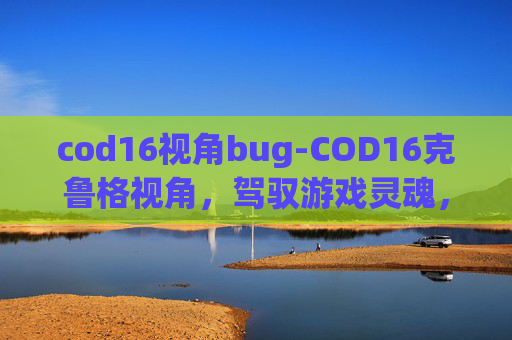 cod16视角bug-COD16克鲁格视角，驾驭游戏灵魂，解锁解谜乐趣