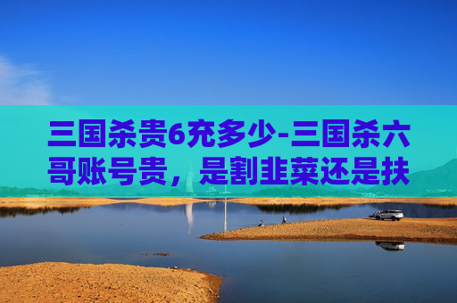 三国杀贵6充多少-三国杀六哥账号贵，是割韭菜还是扶持？深度解析