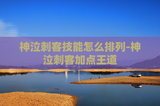神泣刺客技能怎么排列-神泣刺客加点王道