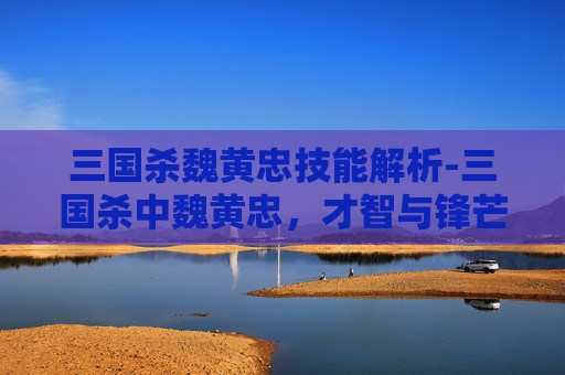 三国杀魏黄忠技能解析-三国杀中魏黄忠，才智与锋芒交织，深挖其特质与价值