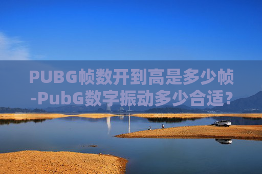 PUBG帧数开到高是多少帧-PubG数字振动多少合适？深度解析引发的兴趣点与使用策略