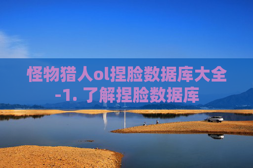 怪物猎人ol捏脸数据库大全-1. 了解捏脸数据库