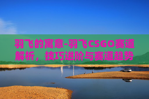 羽飞的寓意-羽飞CSGO赛道解析,技巧进阶与赛道趋势深度剖析 羽飞的寓意-羽飞CSGO赛道解析,技巧进阶与赛道趋势深度剖析
