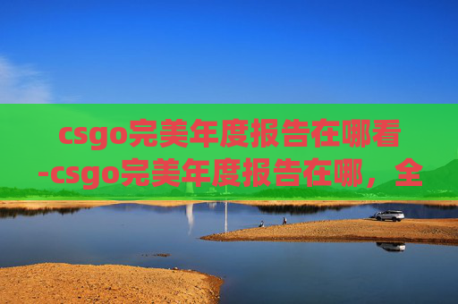 csgo完美年度报告在哪看-csgo完美年度报告在哪，全方位梳理核心获取渠道与使用指南