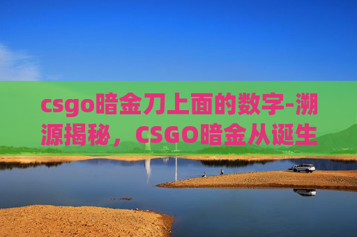 csgo暗金刀上面的数字-溯源揭秘，CSGO暗金从诞生到发展的完整脉络与价值解读