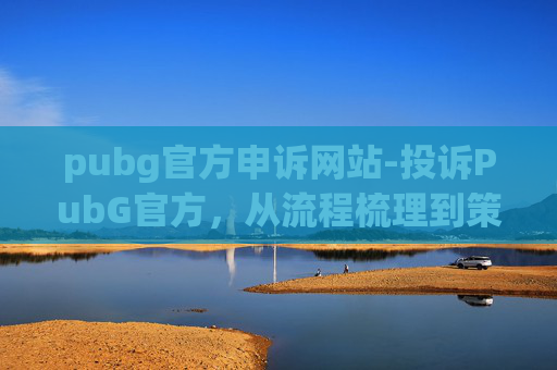 pubg官方申诉网站-投诉PubG官方，从流程梳理到策略分析，深度解析投诉全过程与关键应对指南