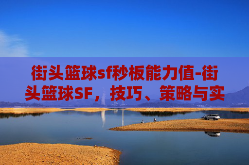 街头篮球sf秒板能力值-街头篮球SF,技巧、策略与实战体验 街头篮球sf秒板能力值-街头篮球SF,技巧、策略与实战体验