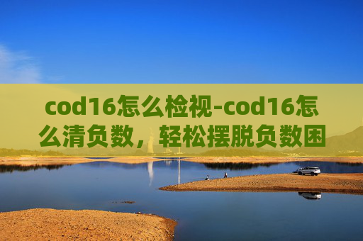 cod16怎么检视-cod16怎么清负数,轻松摆脱负数困扰的详细操作指南 cod16怎么检视-cod16怎么清负数,轻松摆脱负数困扰的详细操作指南